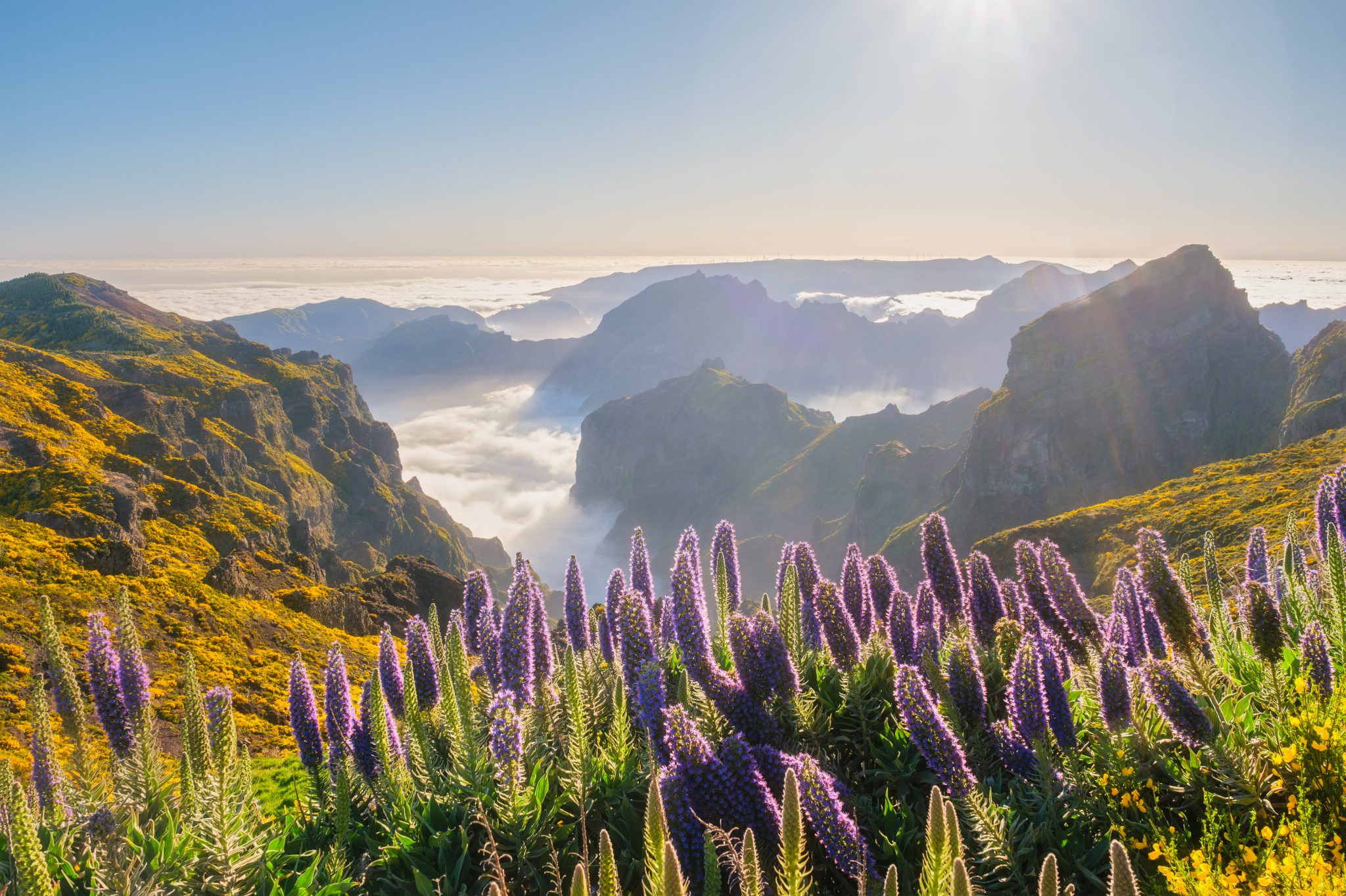 Vue du Pico do Arieiro à Madère, au-dessus des nuages